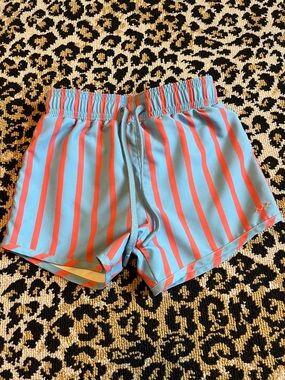 Minnow Swim, 5/6t, Blue and Coral Stripe Swim Trunks